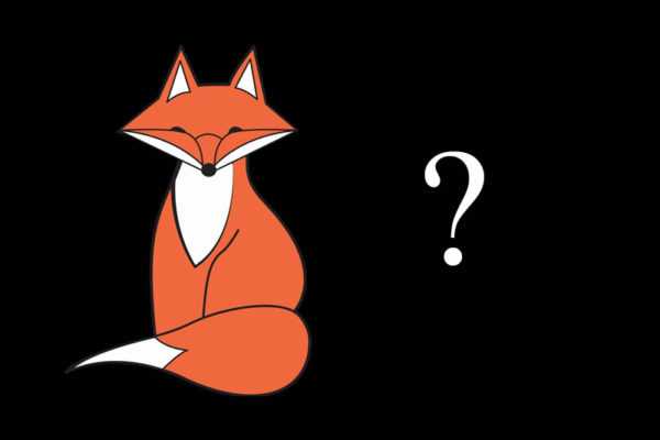 Who are Big Fox Apparel?